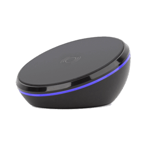 Suspendisse vehicula at dui